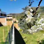 Vila A Sarajevo